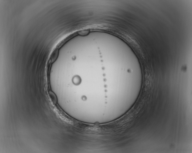 X0000116330792200912151304