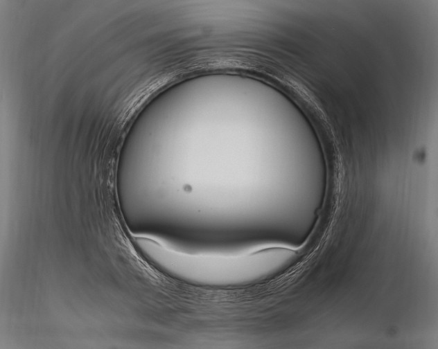 X0000116330793200912151304