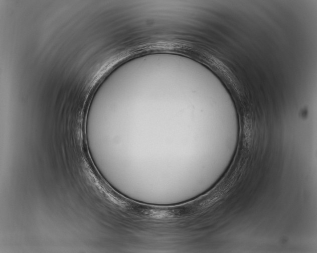 X0000116330794200912151304
