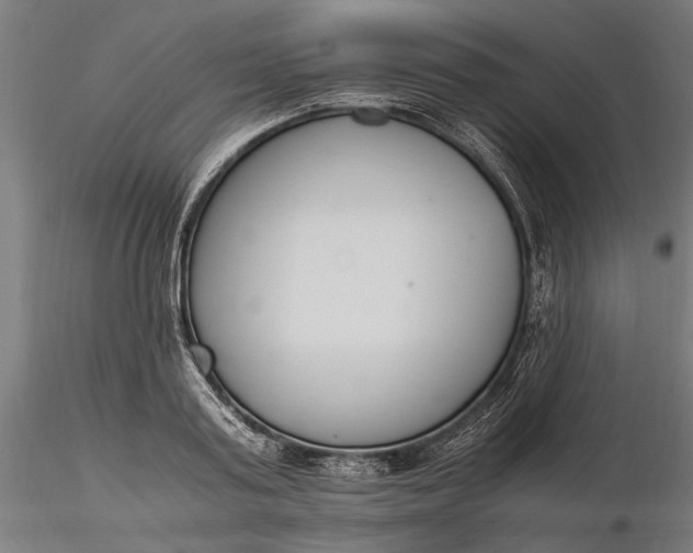 X0000116330795200912151304