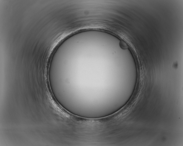 X0000116330797200912151304