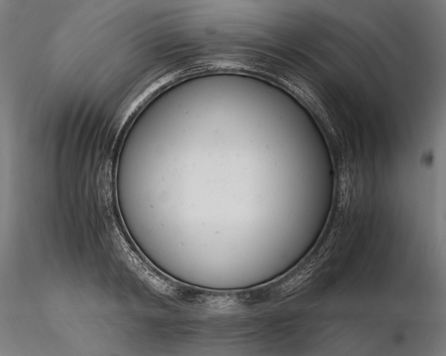 X0000116330798200912151304