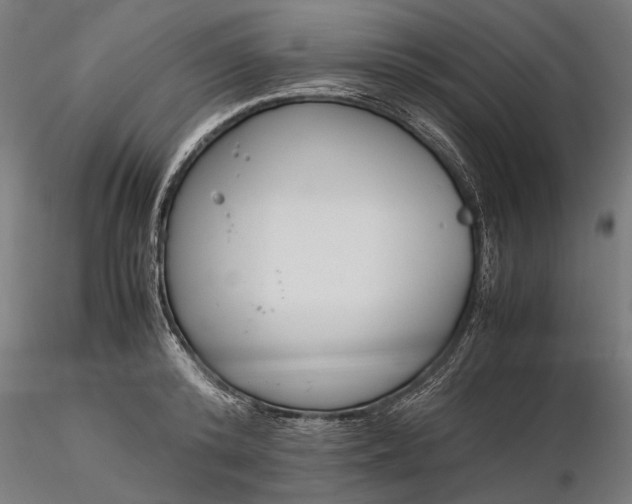 X0000116330800200912151304