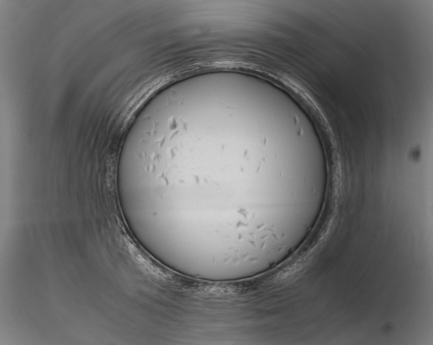 X0000116330801200912151304