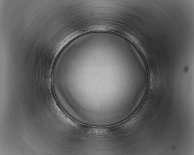 X0000116330802200912151304