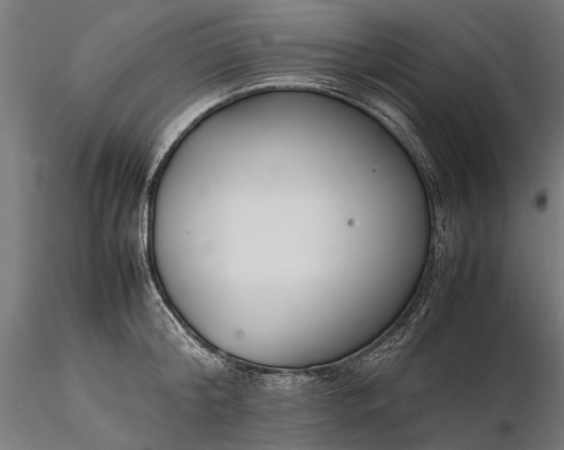 X0000116330804200912151304