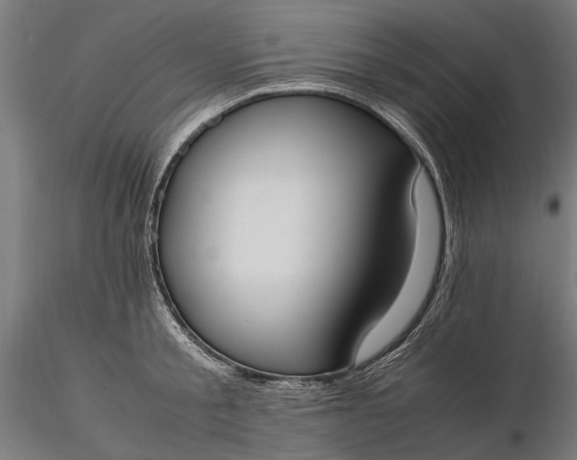 X0000116330805200912151304