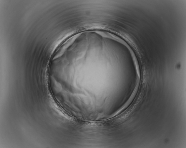 X0000116330806200912151304