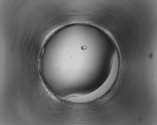 X0000116330807200912151304
