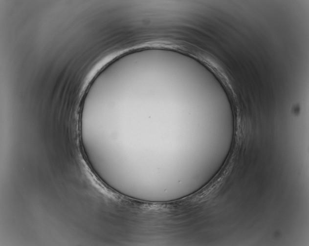 X0000116330808200912151304