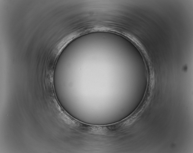 X0000116330809200912151304