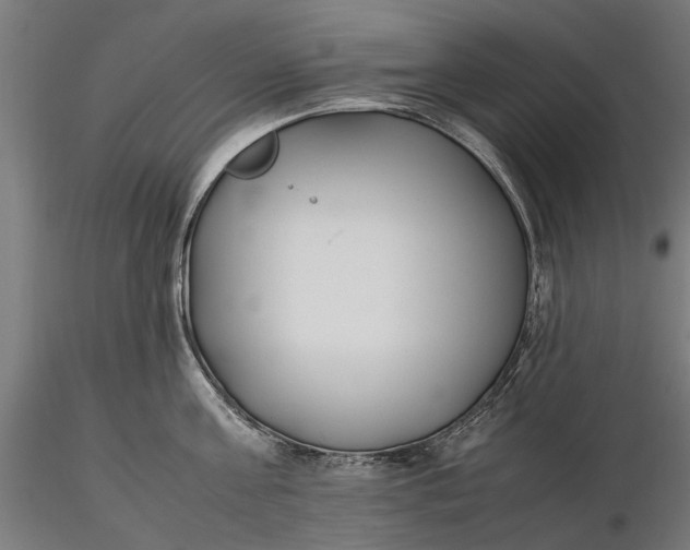 X0000116330811200912151304