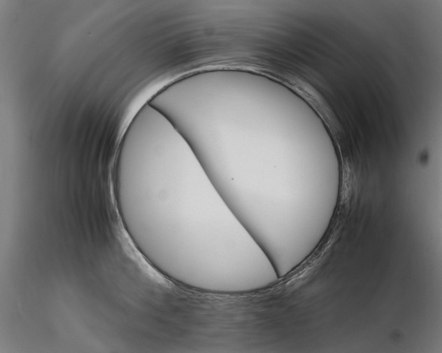 X0000116330812200912151304