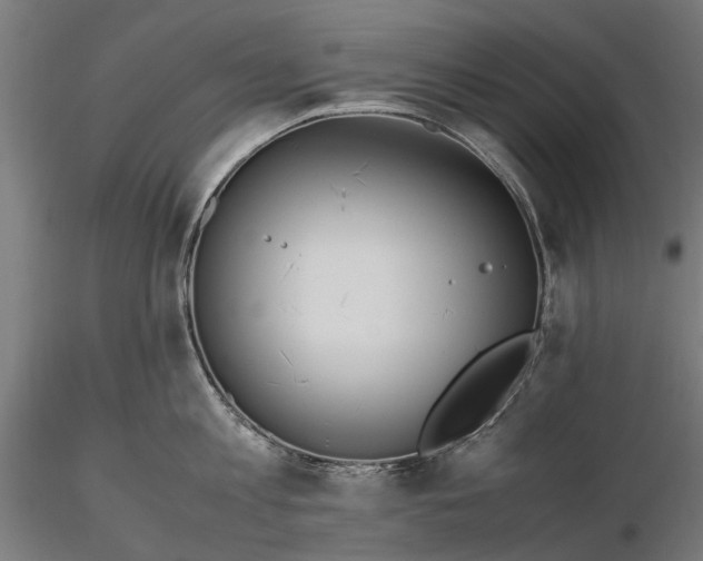 X0000116330813200912151304