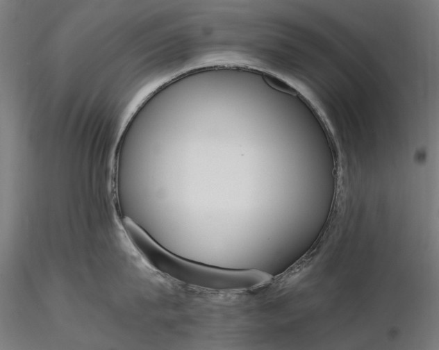 X0000116330815200912151304
