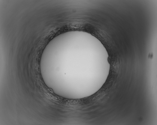X0000116330817200912151303