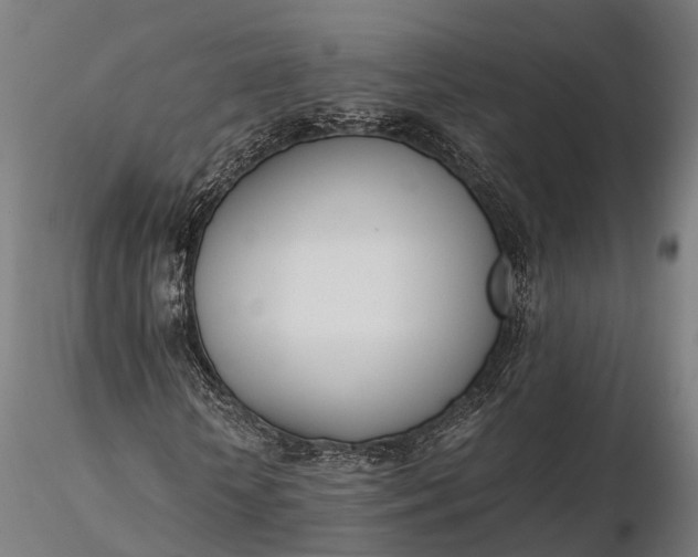 X0000116330818200912151303