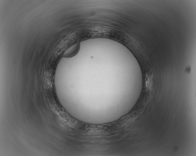 X0000116330819200912151303