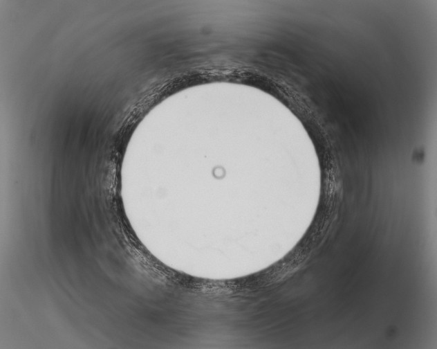 X0000116330820200912151303