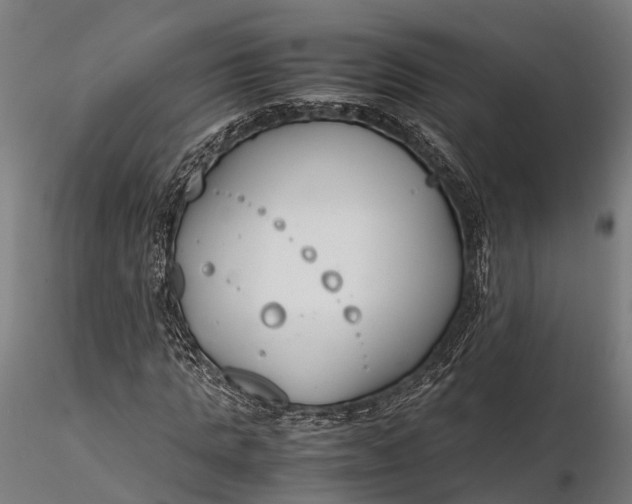 X0000116330821200912151303