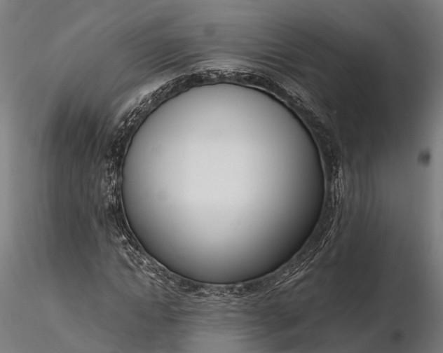 X0000116330822200912151303