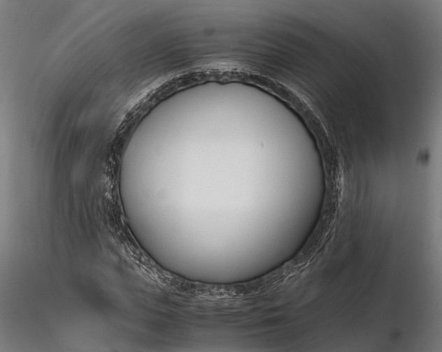 X0000116330823200912151303
