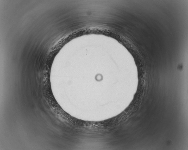 X0000116330824200912151303