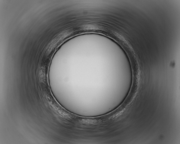 X0000116330825200912151303