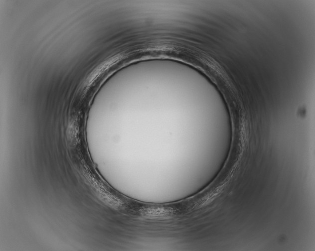 X0000116330826200912151303