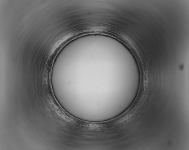 X0000116330827200912151303