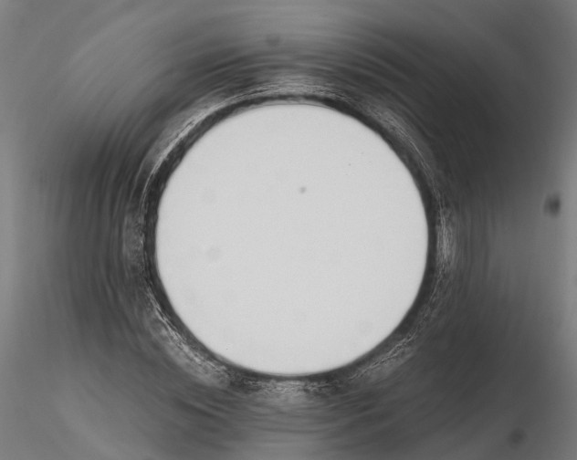 X0000116330828200912151303