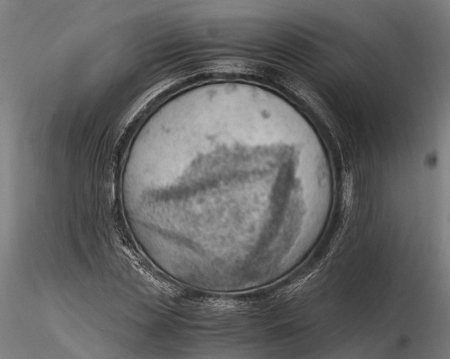 X0000116330829200912151303