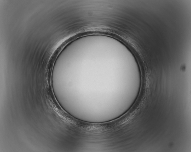 X0000116330830200912151303