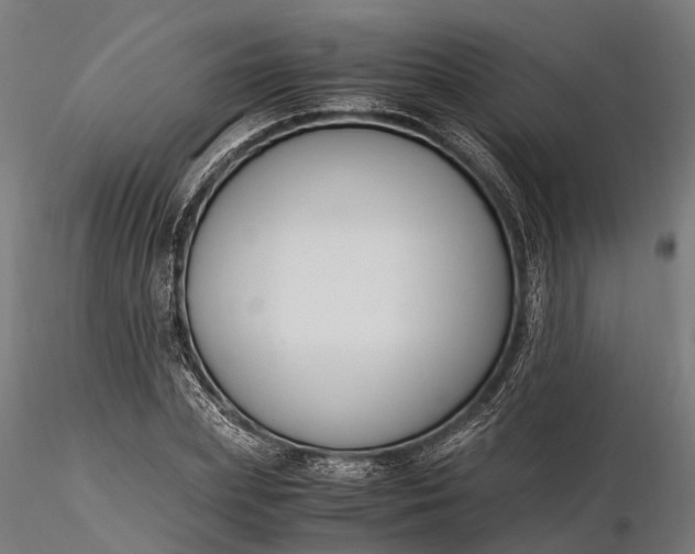 X0000116330831200912151303