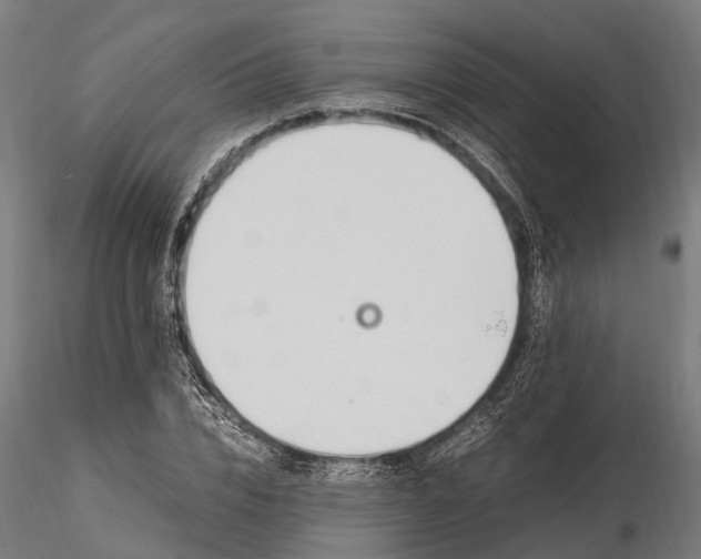 X0000116330832200912151303
