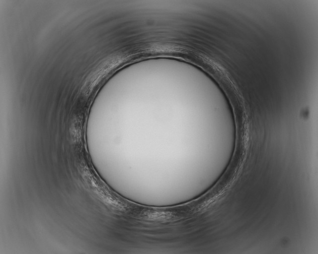 X0000116330833200912151303