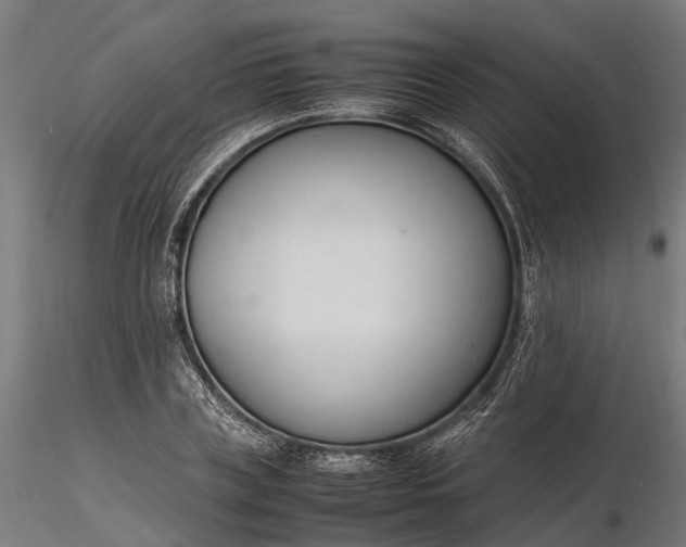 X0000116330835200912151303