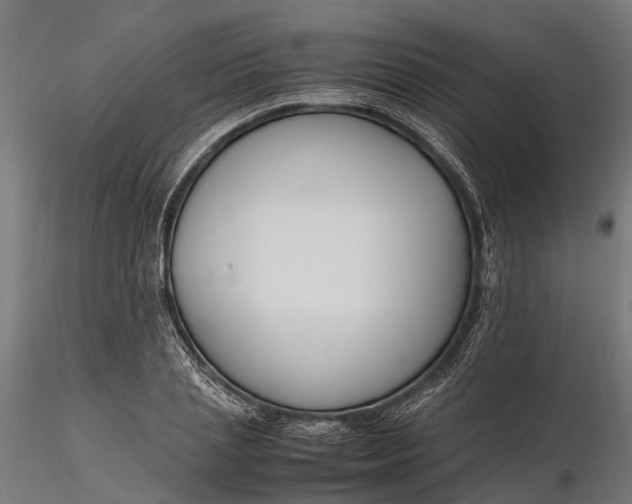 X0000116330837200912151303