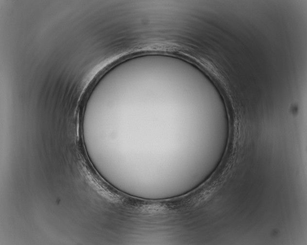 X0000116330838200912151303