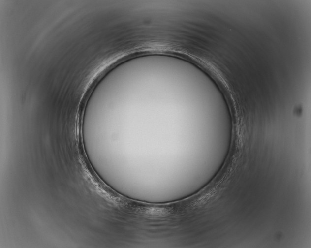 X0000116330839200912151303