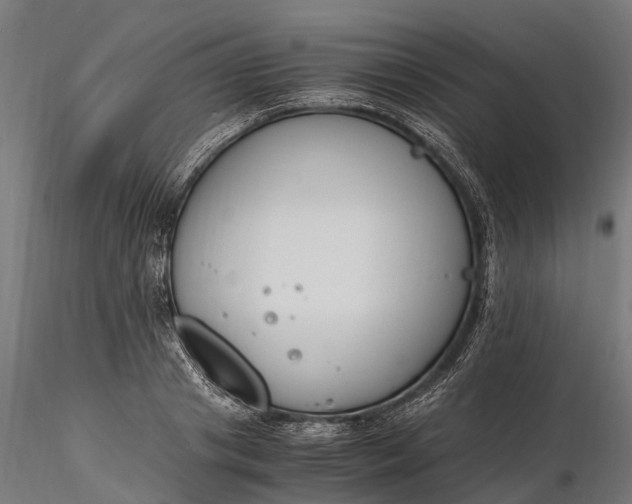 X0000116330841200912151303