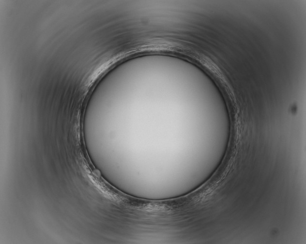 X0000116330842200912151303