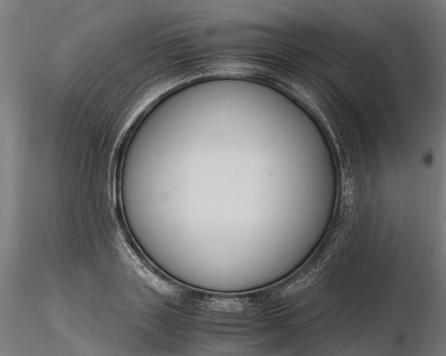 X0000116330843200912151303