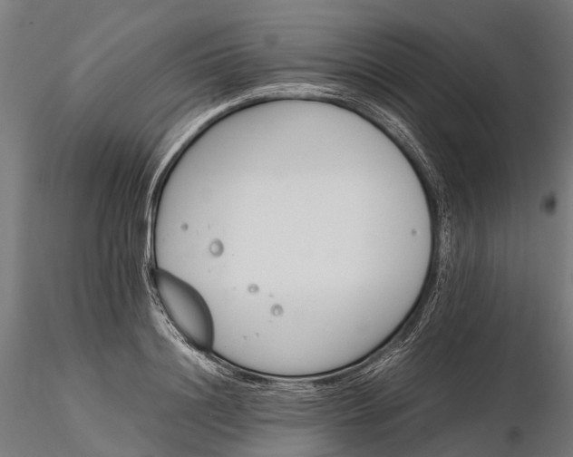X0000116330844200912151303