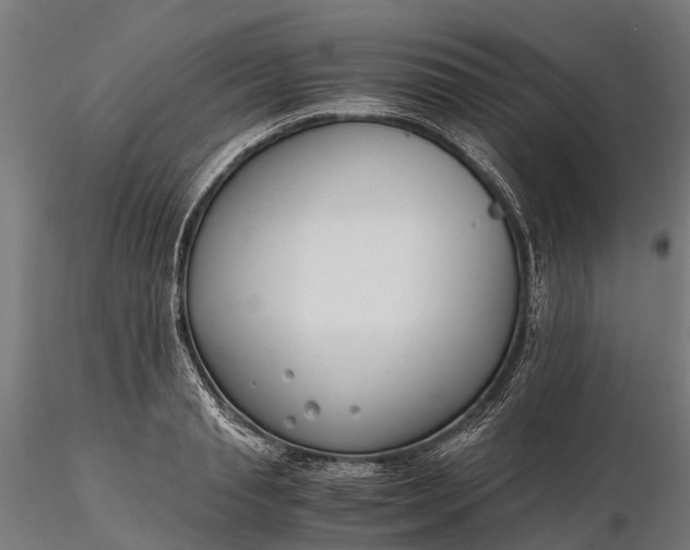X0000116330845200912151303