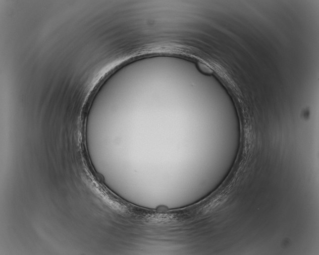 X0000116330846200912151303