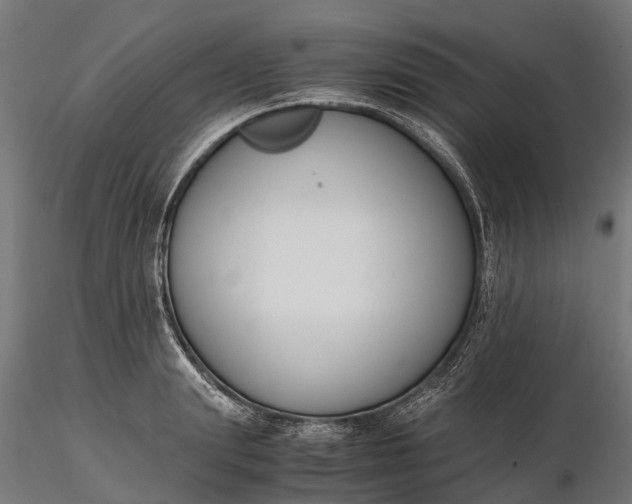 X0000116330847200912151303