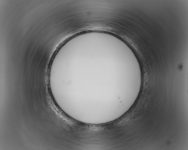 X0000116330848200912151303