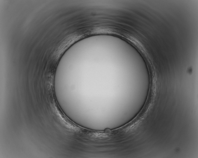 X0000116330849200912151303