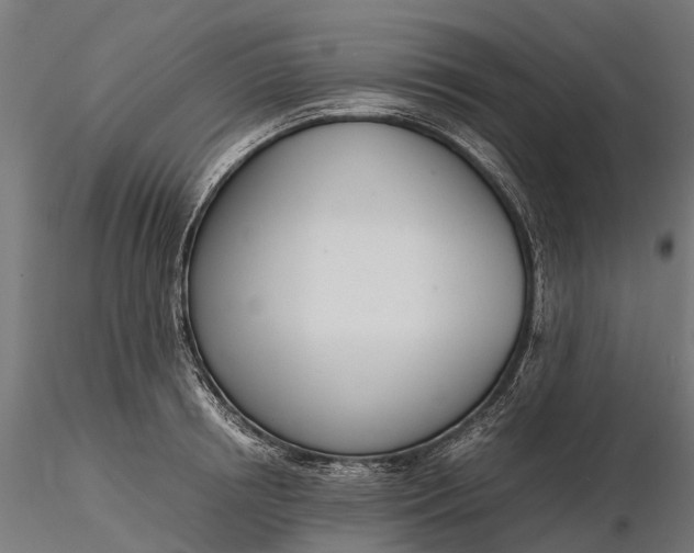 X0000116330850200912151303
